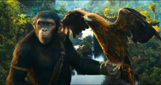 Kingdom of the Planet of the Apes : bande-annonce épique Kingdom of the Planet of the Apes