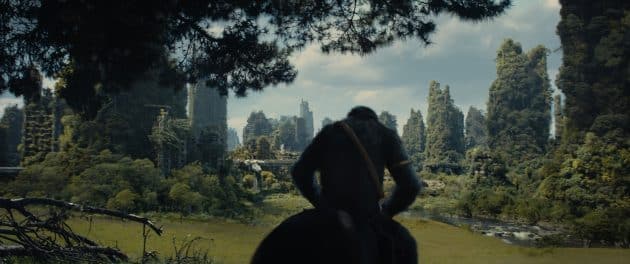 La Planète des Singes : Le Nouveau Royaume : photo