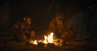 La Planète des Singes : Le Nouveau Royaume : photo