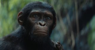 La Planète des Singes : Le Nouveau Royaume : photo