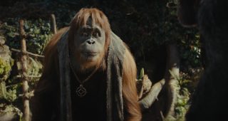 La Planète des Singes : Le Nouveau Royaume : photo