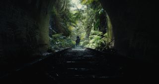 La Planète des Singes : Le Nouveau Royaume : photo