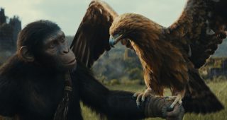 La Planète des Singes : Le Nouveau Royaume : photo
