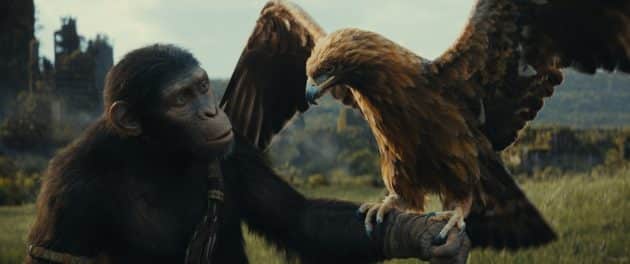 La Planète des Singes : Le Nouveau Royaume : photo