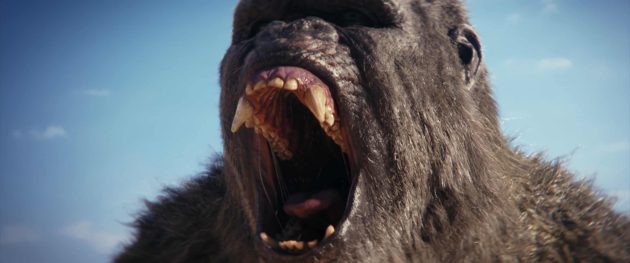 Godzilla x Kong : The New Empire : photo