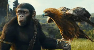 La Planète des singes : le Nouveau Royaume : pourrait marquer le début d'une nouvelle saga, selon le réalisateur