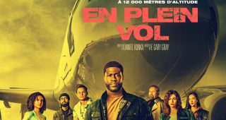 En plein vol : Affiche officielle