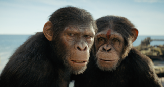 La Planète des singes : le Nouveau Royaume : photo