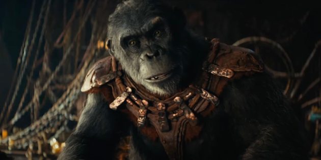 La Planète des singes : le Nouveau Royaume : photo