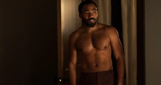 Mr. & Mrs. Smith : photo, Donald Glover