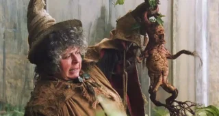 Harry Potter et la Chambre des secrets : photo, Miriam Margolyes