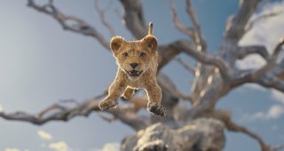 Mufasa : Le Roi Lion : Photo