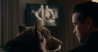 Sugar : photo, Colin Farrell