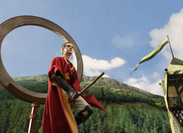 Du Quidditch dans Harry Potter