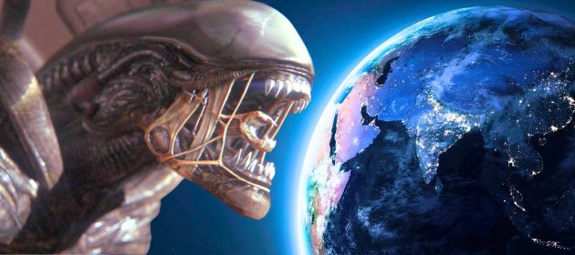 Alien Earth : la série aura des aliens différents des films, mais promis, ce sera respectueux