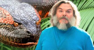 Anaconda : une actrice de The Suicide Squad rejoint le nouveau film avec Paul Rudd et Jack Black
