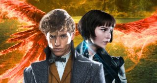 Les Animaux fantastiques 4 et 5 ne se feront jamais selon l'actrice phare du spin-off d'Harry Potter