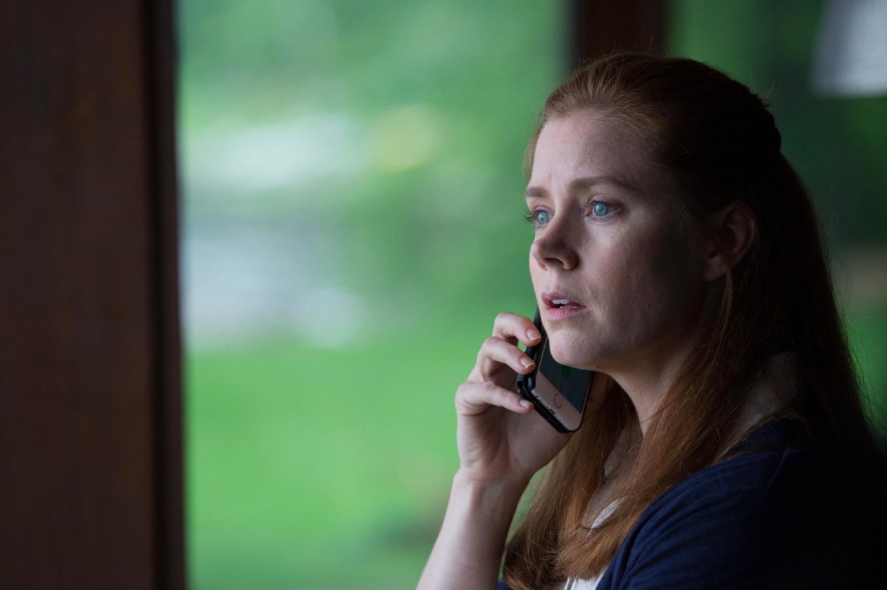 amy adams