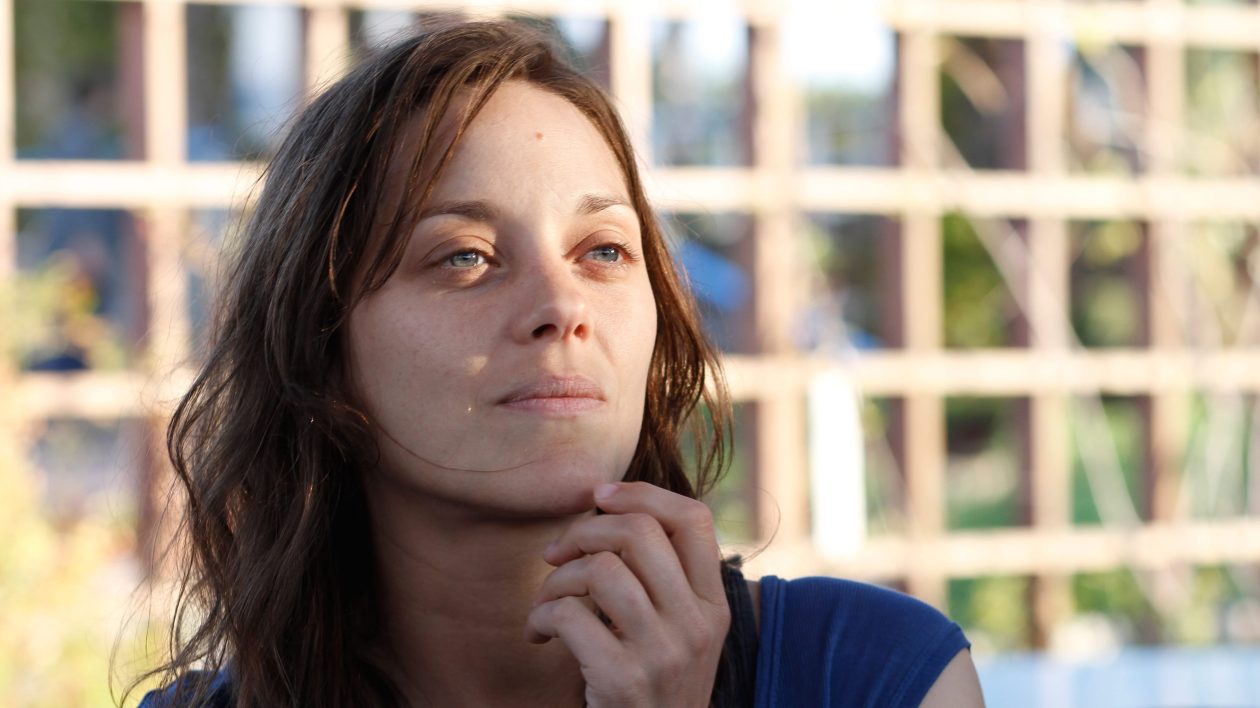 De rouille et d'os marion cotillard