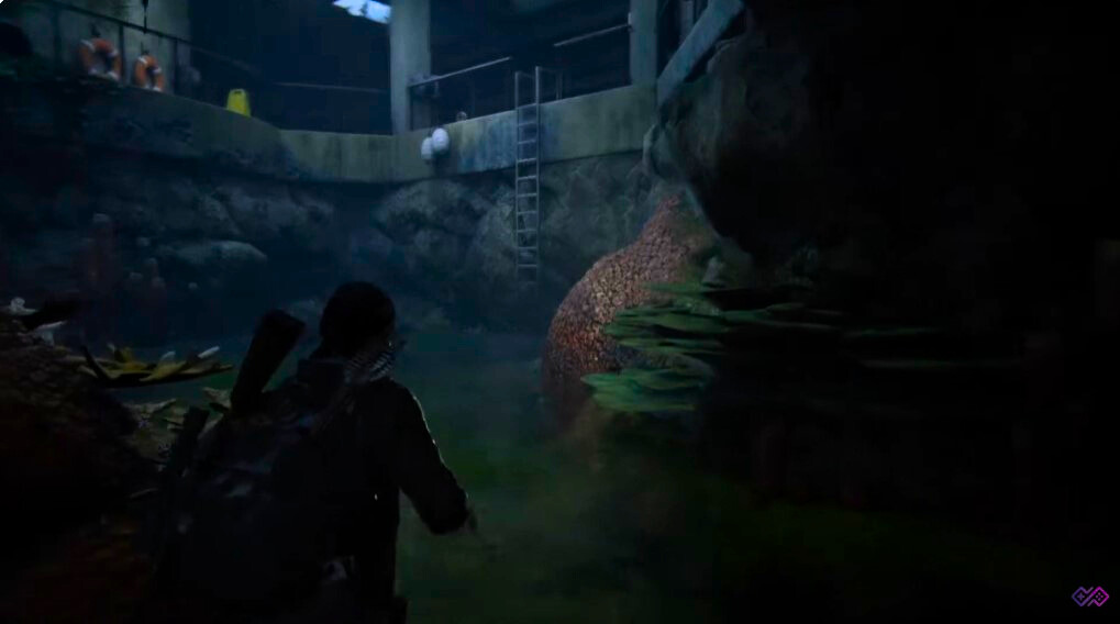 The Last of Us
