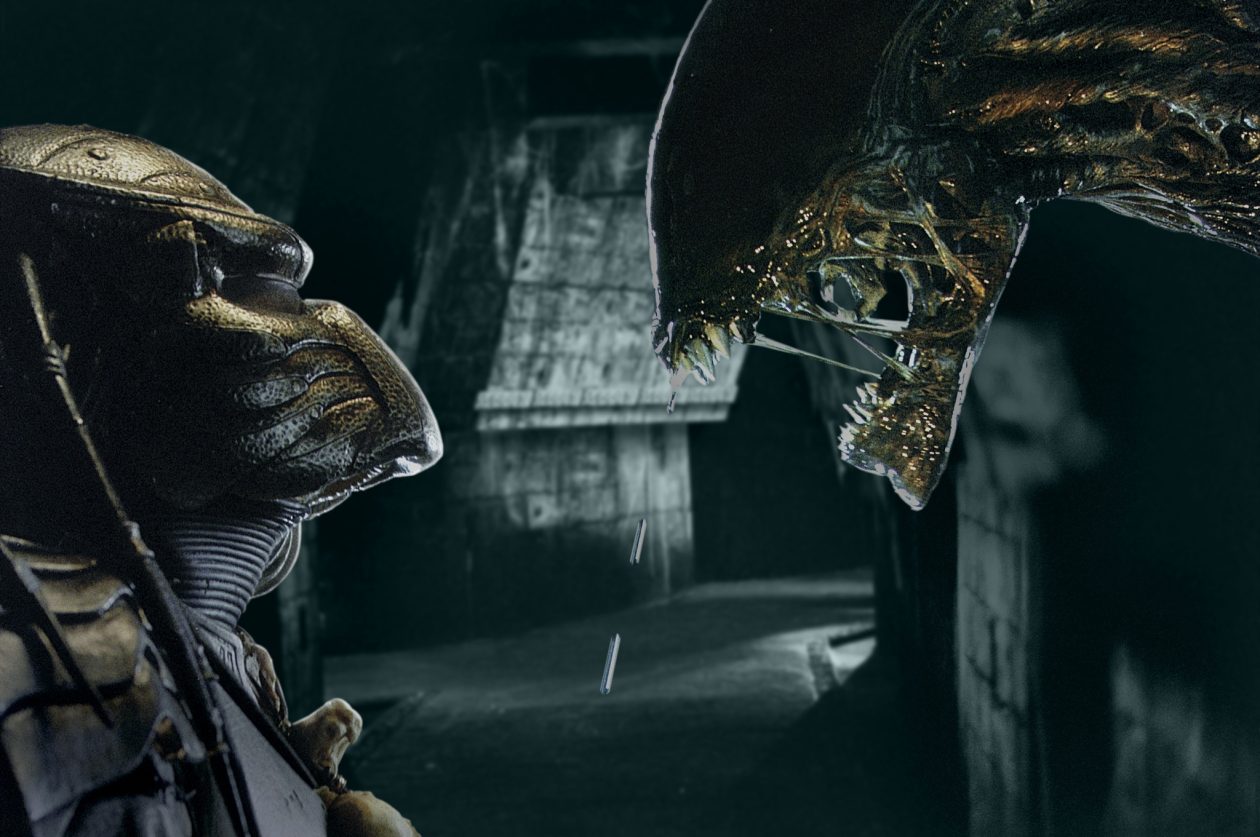 ALIEN VS PREDATOR
