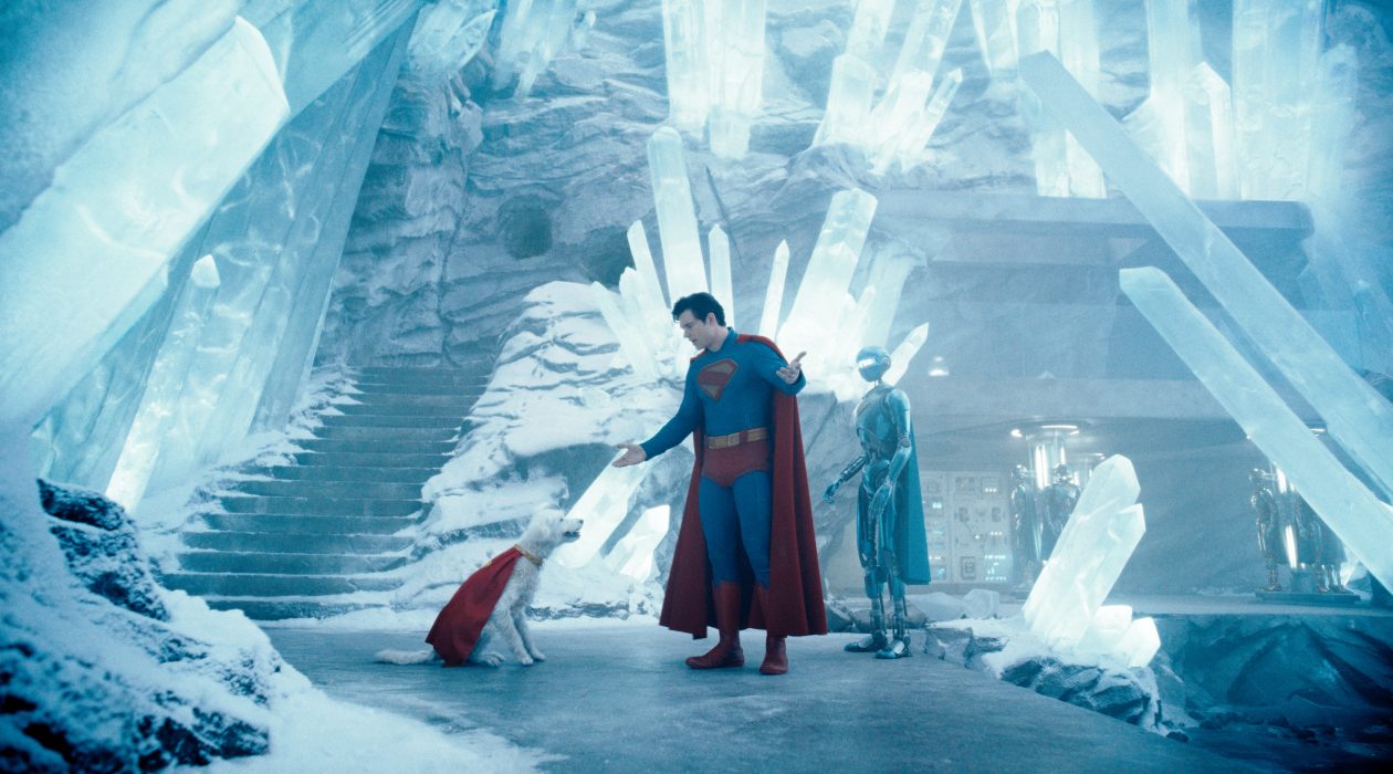 David Corenswet dans Superman