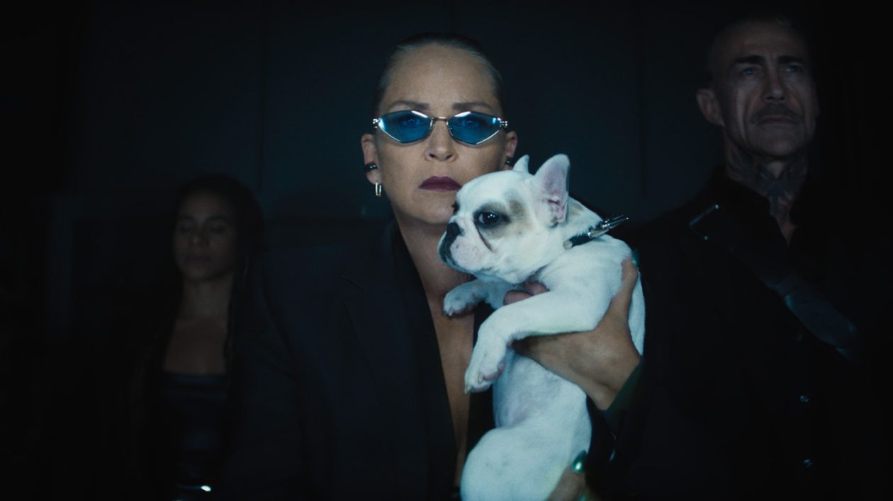 Nobody 2, Sharon Stone