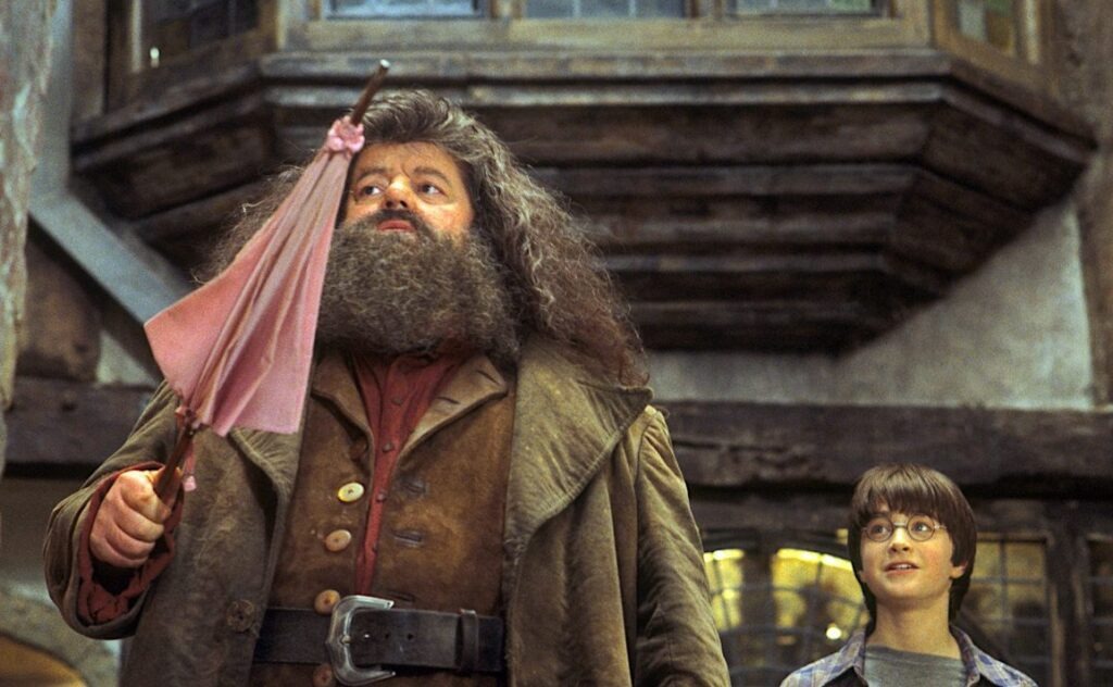 Harry Potter, Robbie Coltrane
