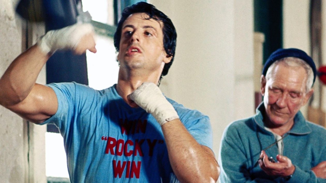 Rocky : on sait qui jouera Sylvester Stallone dans le film sur sa vie