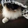 SpookyPimouss