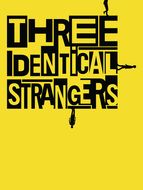 Three Identical Strangers