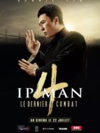 Ip Man 4 : Le Dernier Combat