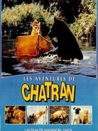 Les aventures de Chatran