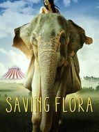 Sauver Flora l'éléphant
