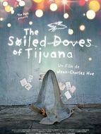The Soiled Doves of Tijuana