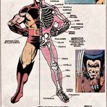 Photo Le squelette de Wolverine (comics)