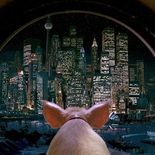 Cochon devant la ville