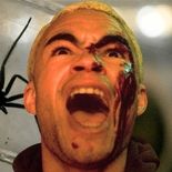 le film d'horreur d'araignées cartonne en France, et c'est totalement mérité