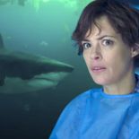 Sous la Seine : le film de requins Netflix s'offre une bande-annonce tendue en plein Paris