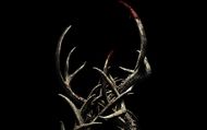 Antlers : Bande-Annonce - VO