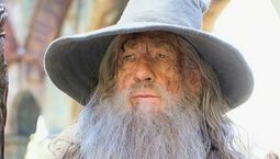 l'acteur de Gandalf explique pourquoi il a refusé de jouer Dumbledore