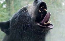 Crazy Bear : critique de Boucle d'Or sous acide