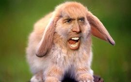 Nicolas Cage va dérouiller des espèces rares dans un film pas très vegan