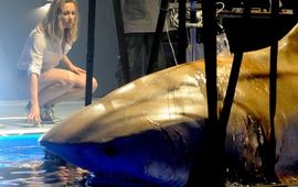 Après 47 Meters Down : Uncaged, les amateurs de films de requins auront droit à Peur Bleue 3 sur Netflix