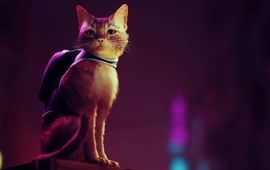 Stray : les premiers avis sur l'aventure chat-berpunk sont tombés