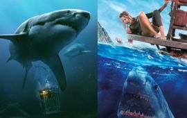 Les Meilleurs Films de Requins