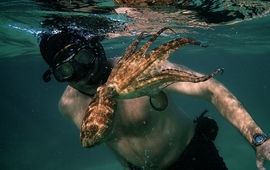 La Sagesse de la pieuvre sur Netflix : une bande-annonce intense pour l’Oscar du meilleur documentaire