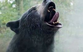 Cocaine Bear : une bande-annonce tarée pour l'ours tueur drogué