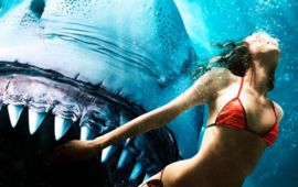 Merci Netflix : ce film de requin passé inaperçu cartonne dans le monde (mais c'est pas mérité)