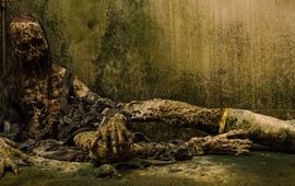 The Walking Dead Saison 6 Épisode 14 : Negan approche et la mort rôde